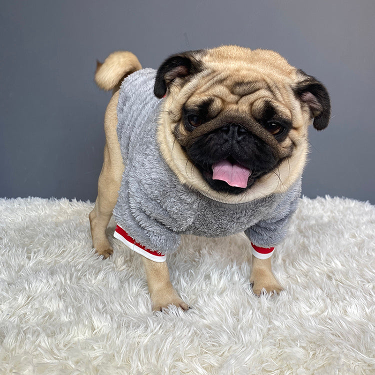 Pet Saturday Emborideried Sweater