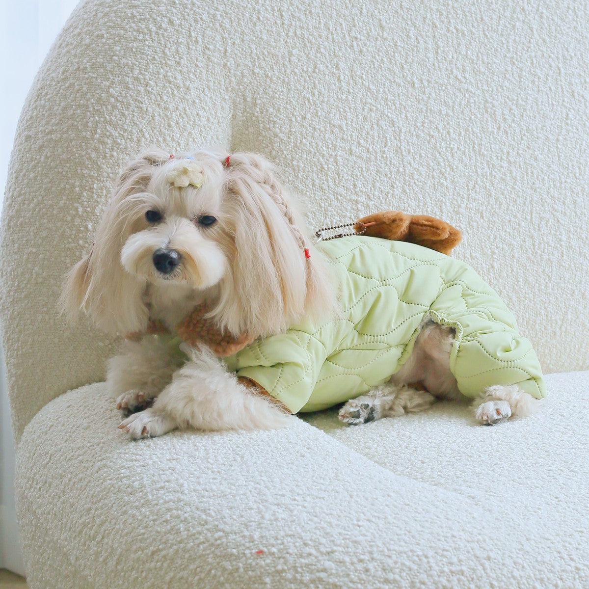 Pet Thick Band Hanging Strap Bear Suit