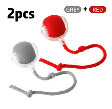 Interactive Cat Super Drive Cat Rolling Ball