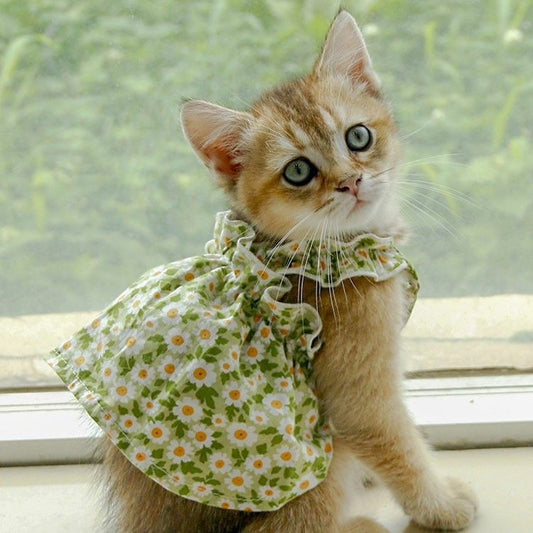 Pet Fashion Spring Floral Mini Frock