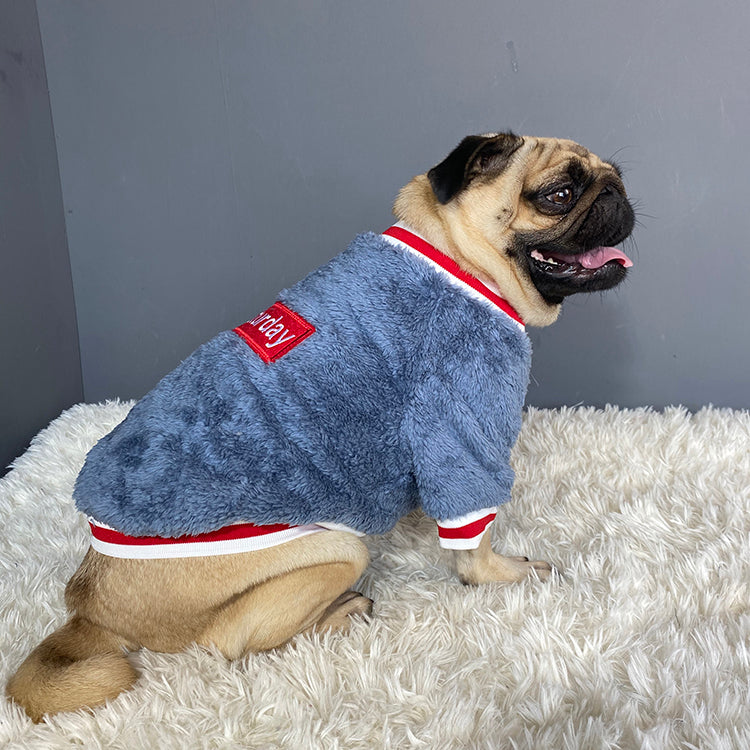 Pet Saturday Emborideried Sweater