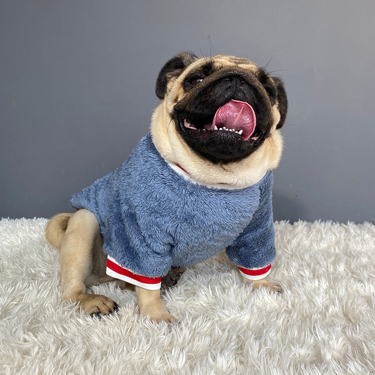Pet Saturday Emborideried Sweater