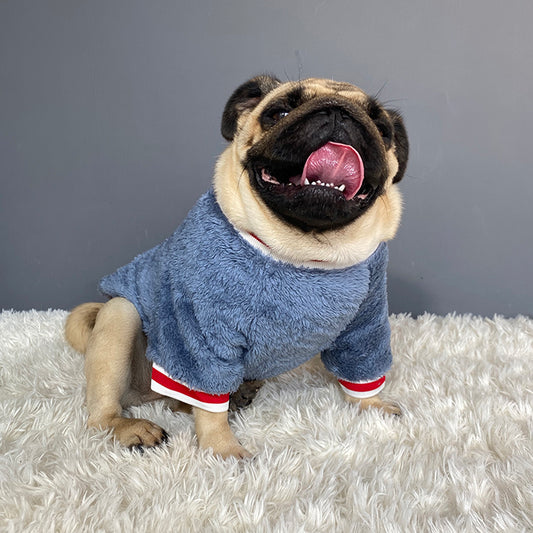 Pet Saturday Emborideried Sweater