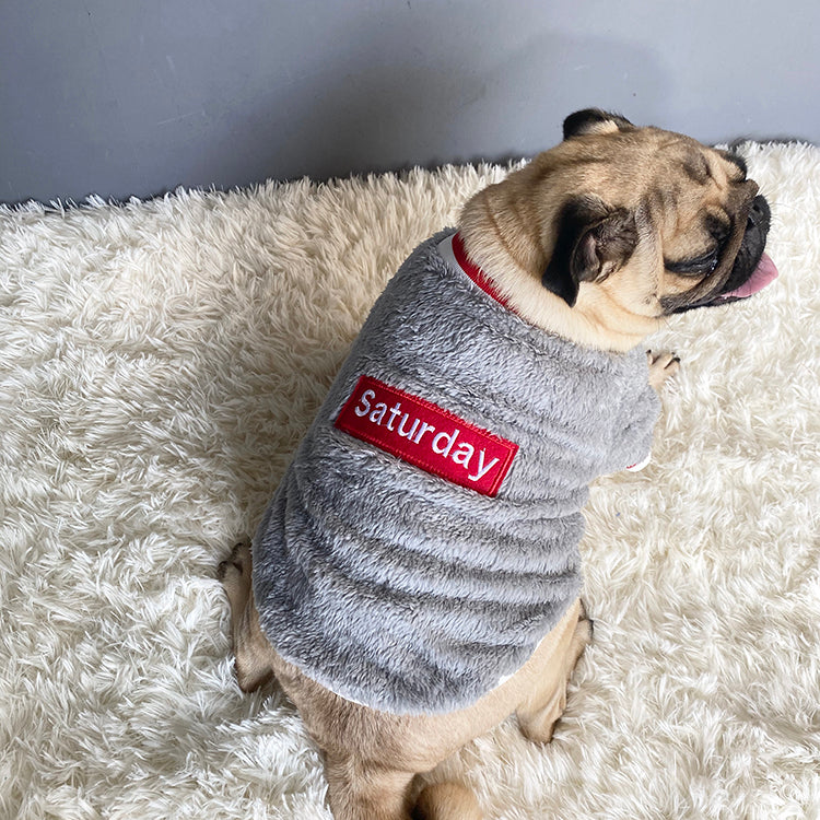 Pet Saturday Emborideried Sweater