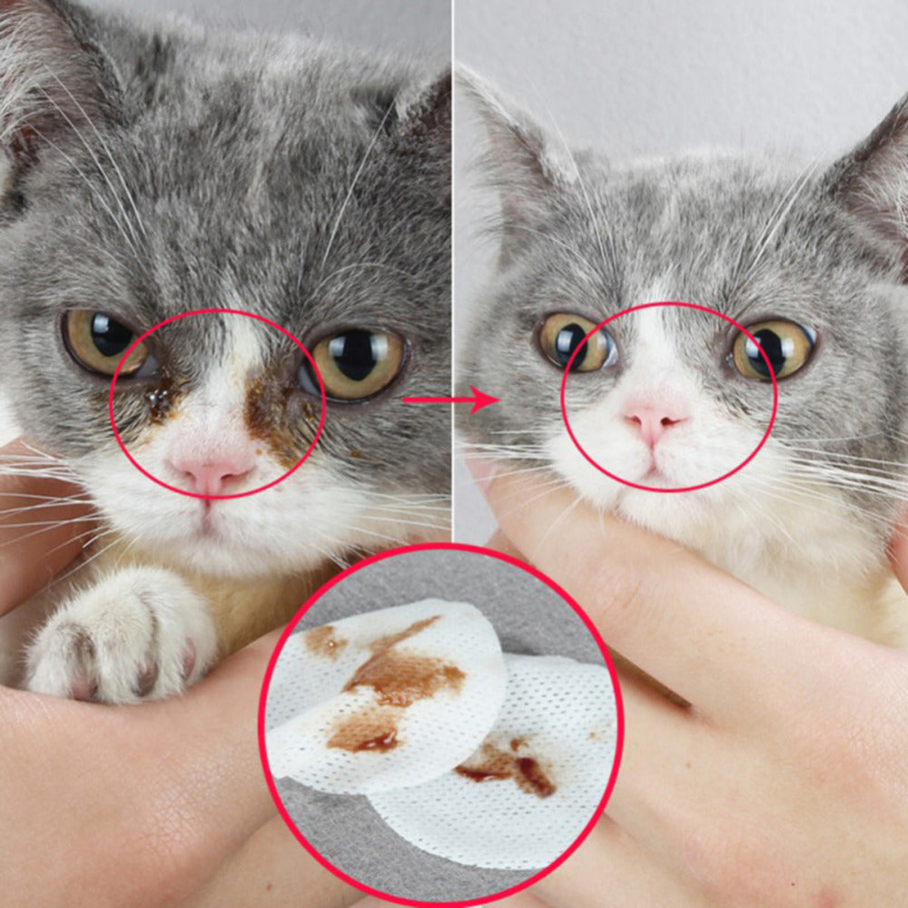Hygienic Pet Eye Grooming Wipes