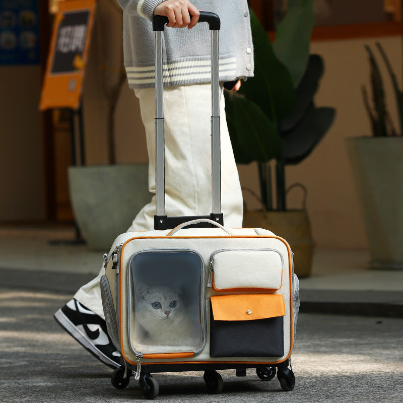 Anti-stress Pet Going Out Trolley Backpack