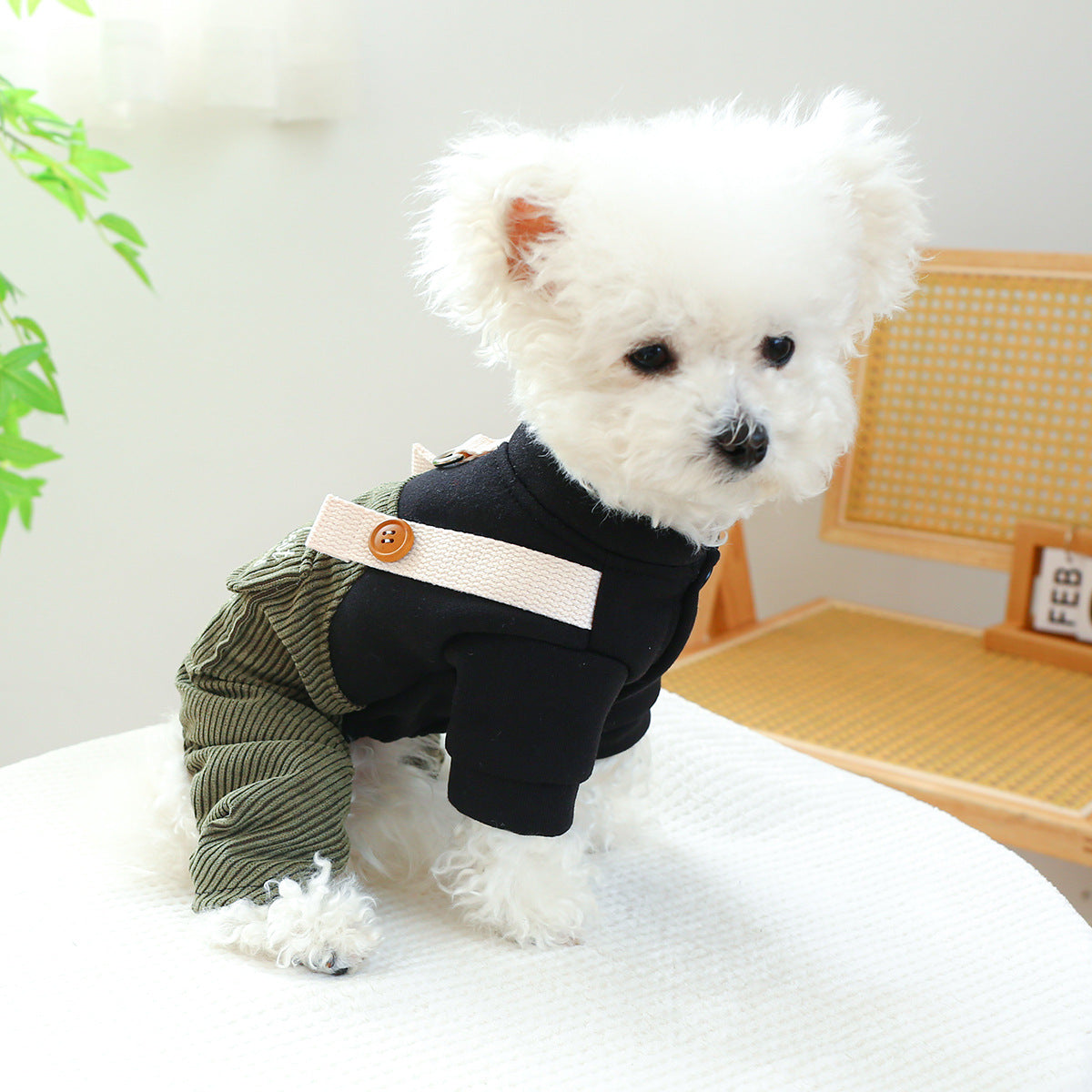 Pet Corduroy Best Friend Ring Dog Suit