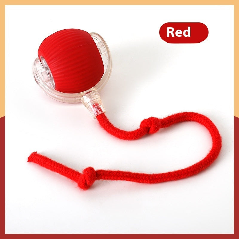 Interactive Cat Super Drive Cat Rolling Ball