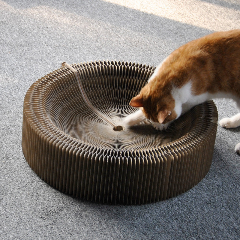 Foldable Organ Nest Corrugated Scratching Board
