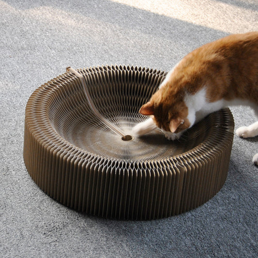 Foldable Organ Nest Corrugated Scratching Board