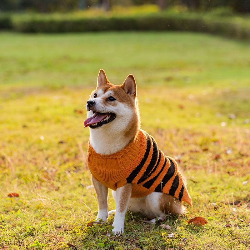 Warm Leisure Halloween Dog Cosplay Outfit