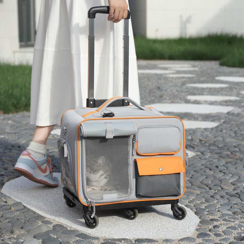 Anti-stress Pet Going Out Trolley Backpack