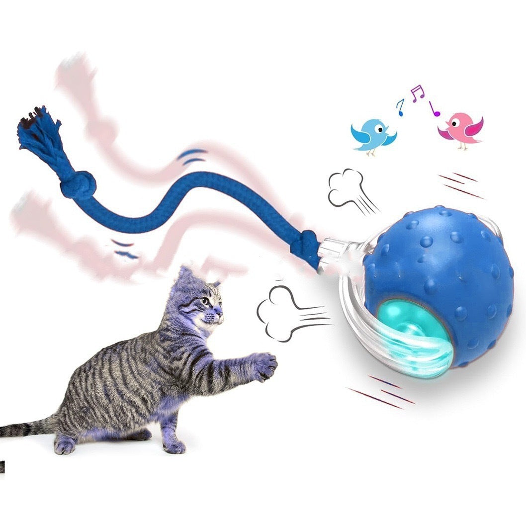 Interactive Cat Super Drive Cat Rolling Ball