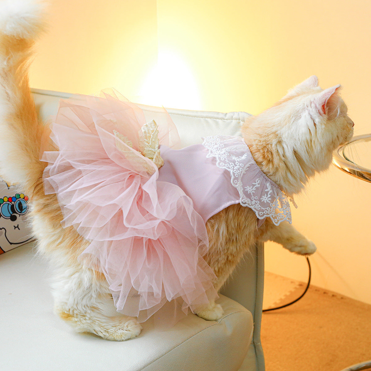 Pet Cat Lace Clothing Suit