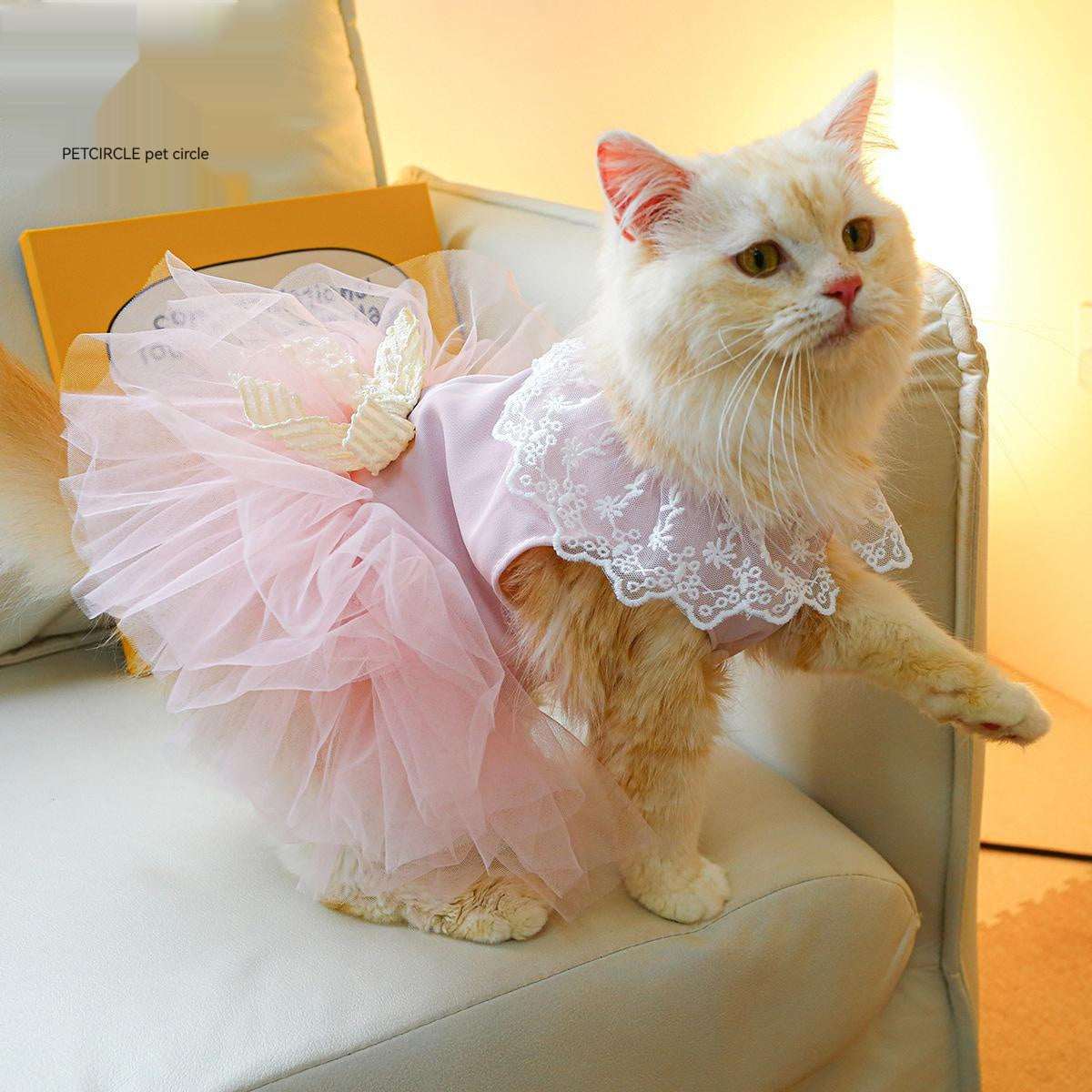 Pet Cat Lace Clothing Suit
