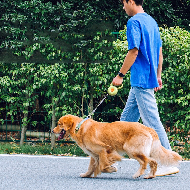 Pet Reflective Cute Dog Leash Rope