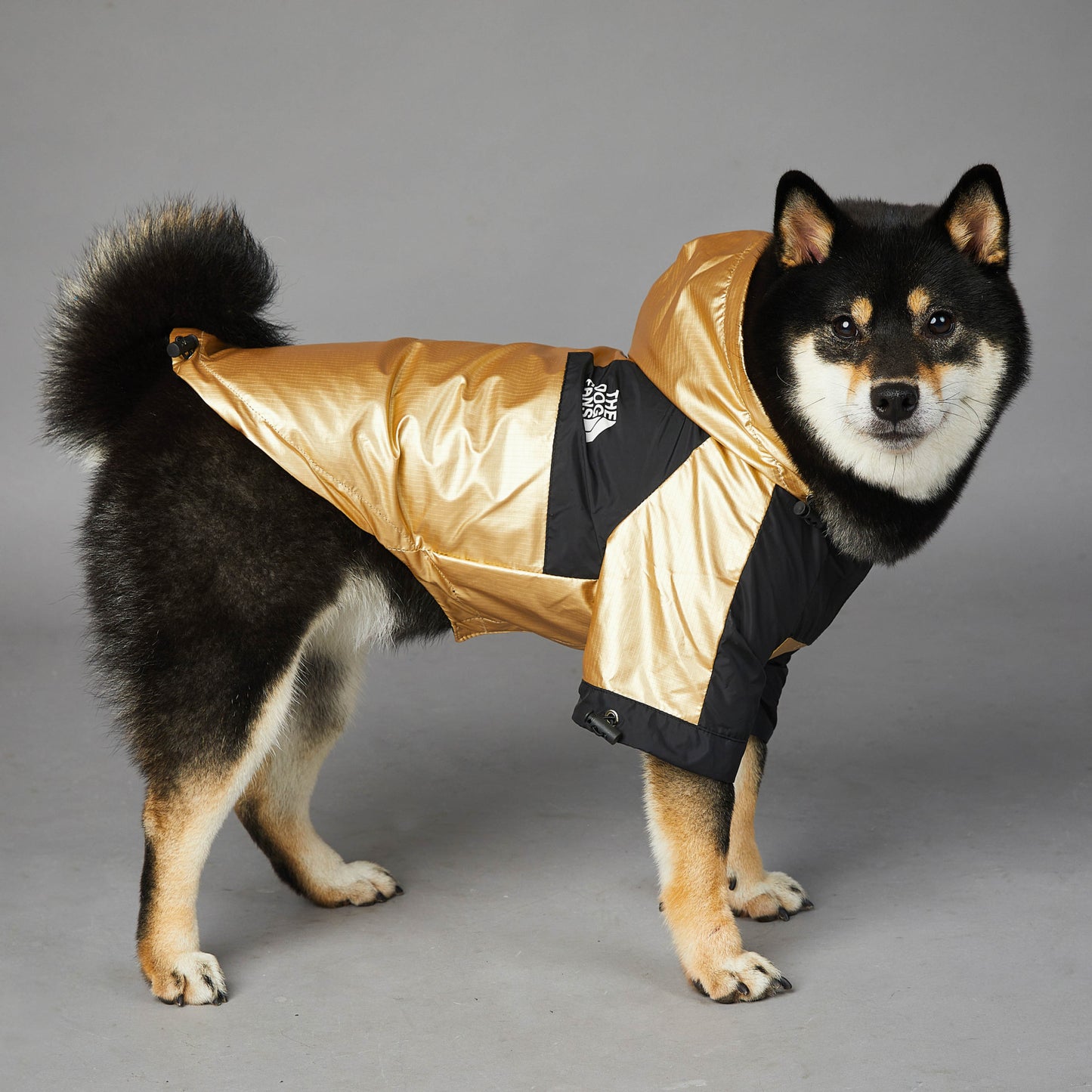 Pet Dog Large Raincoat Jacket