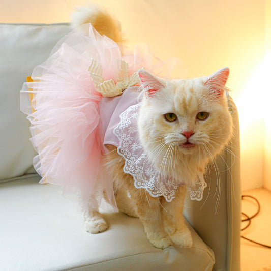 Pet Cat Lace Clothing Suit