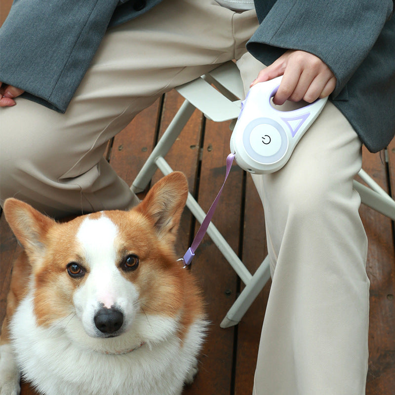 Automatic Spotlight Pet Traction Rope For Dog