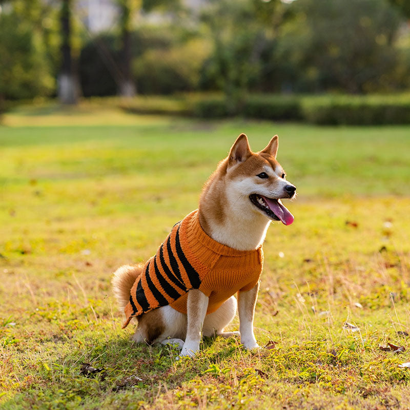 Warm Leisure Halloween Dog Cosplay Outfit