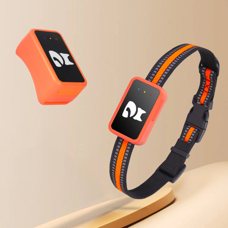 Pet Anti-lost GPS Locator Collar Tracker