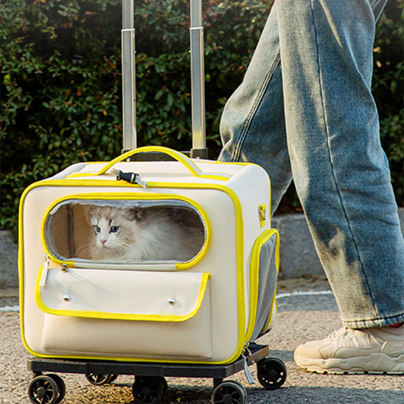 Anti-stress Pet Going Out Trolley Backpack