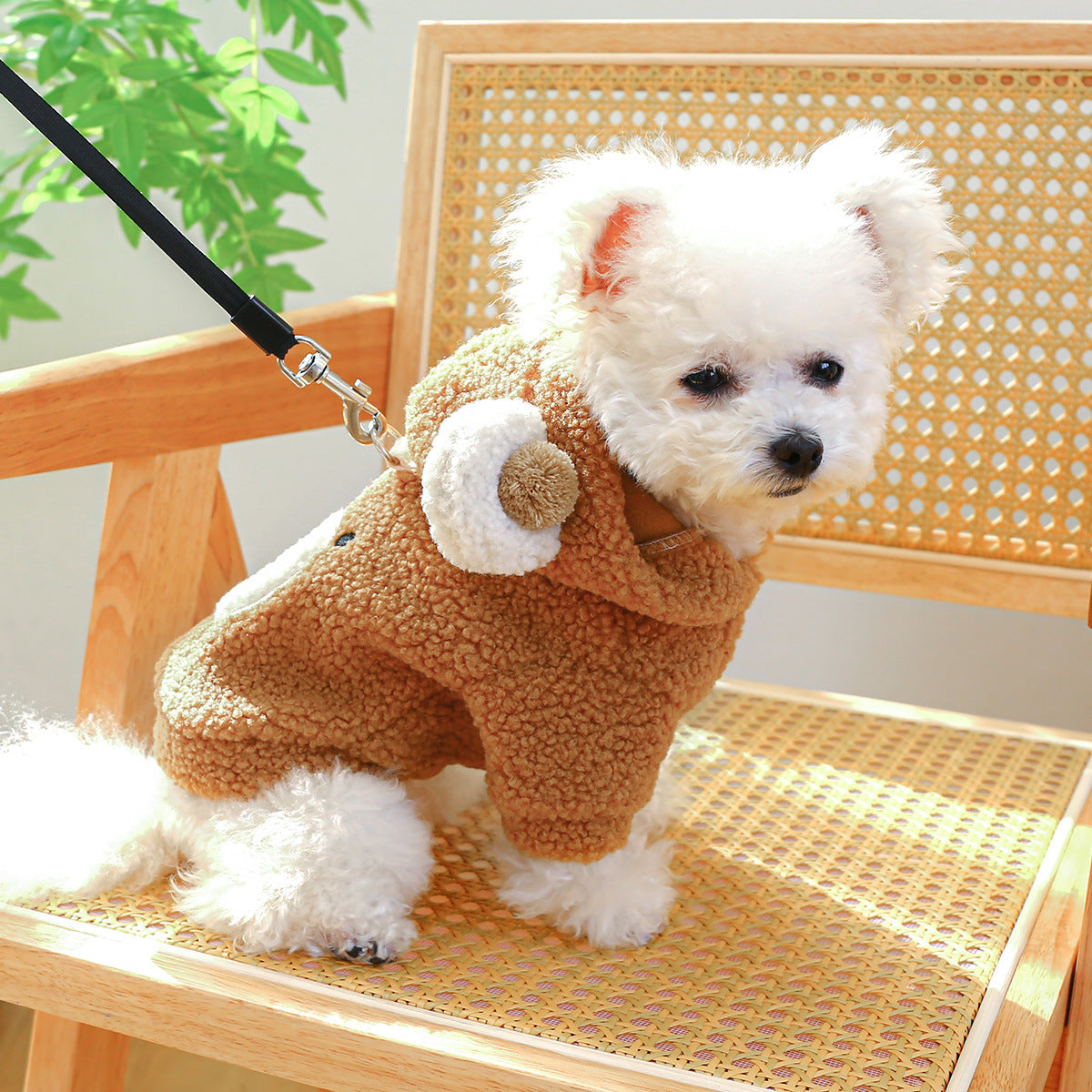 Pet Comfortable Lambswool Round Bear Hoodie