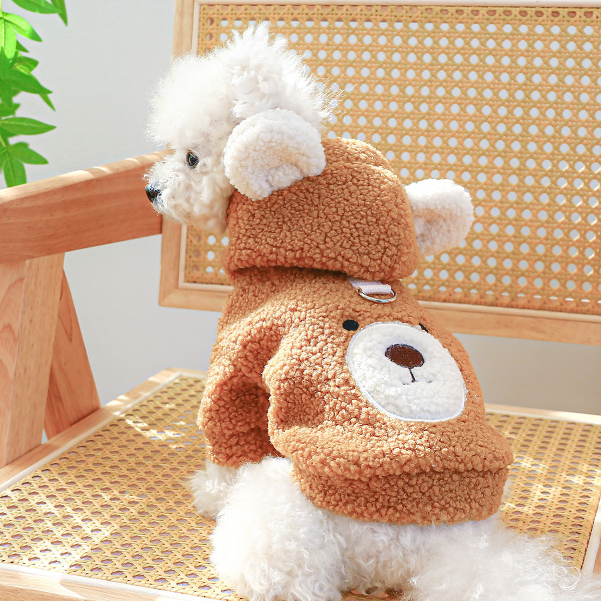 Pet Comfortable Lambswool Round Bear Hoodie