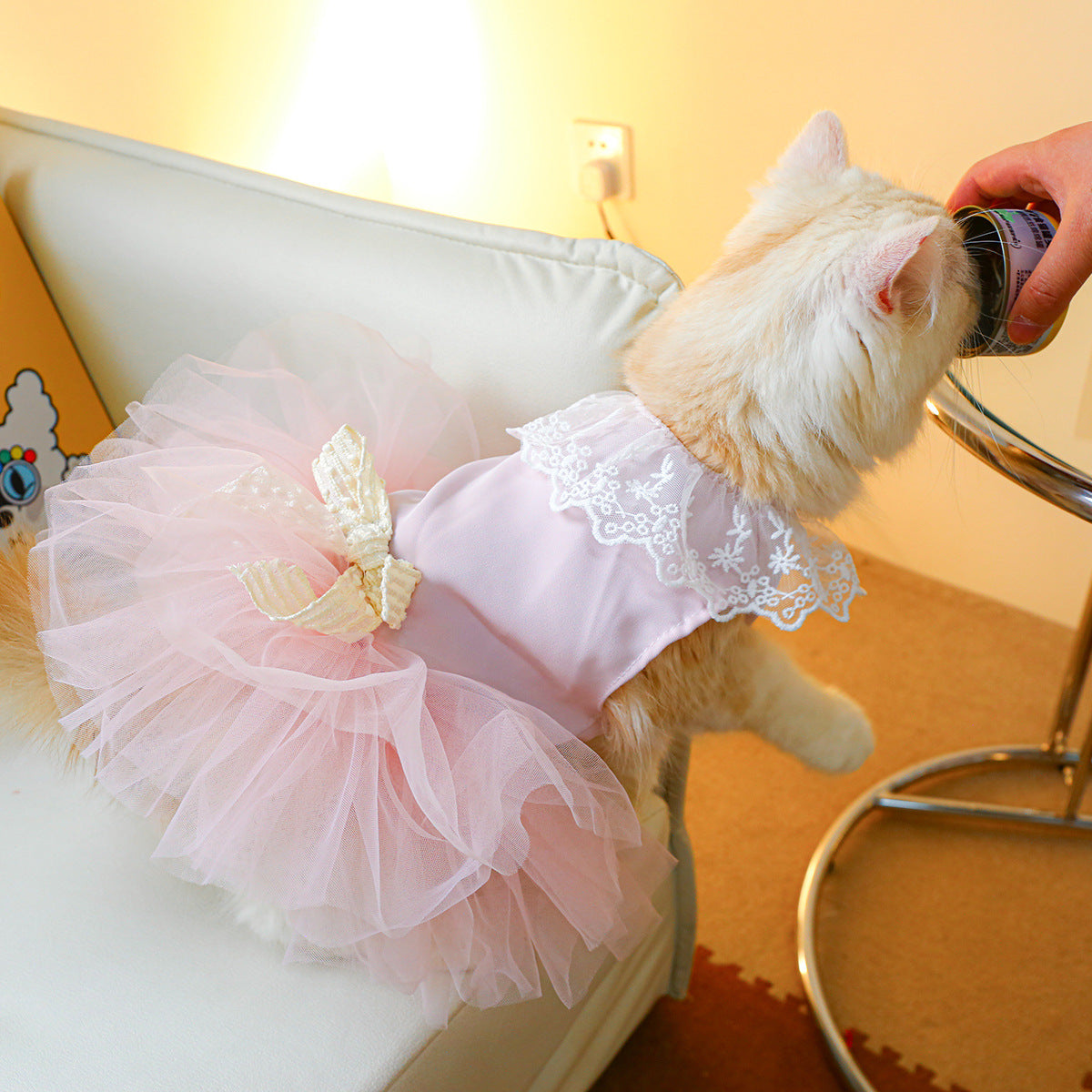 Pet Cat Lace Clothing Suit