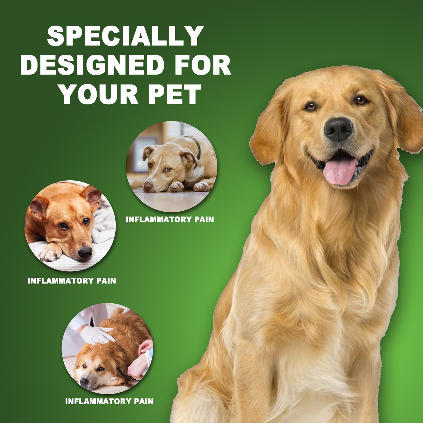 Universal Pet Urinary Tract Pain Reliever