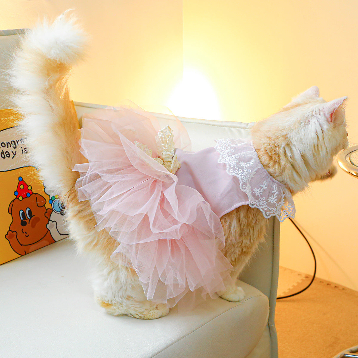 Pet Cat Lace Clothing Suit