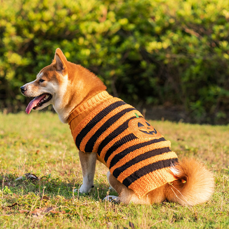 Warm Leisure Halloween Dog Cosplay Outfit