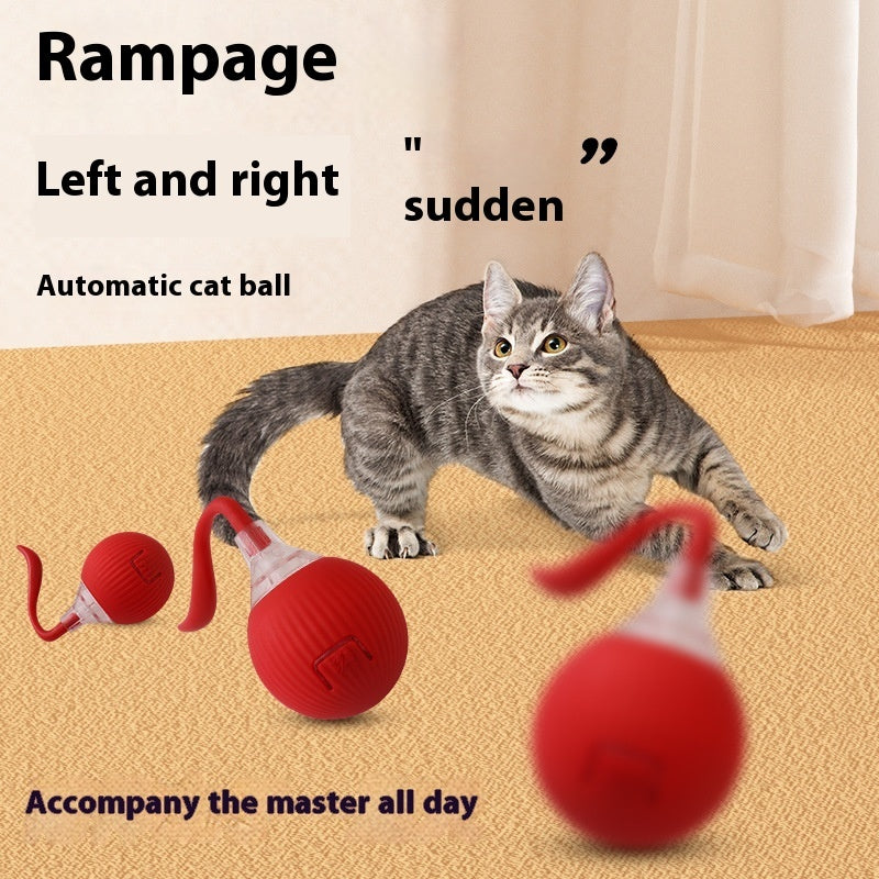 Interactive Cat Super Drive Cat Rolling Ball