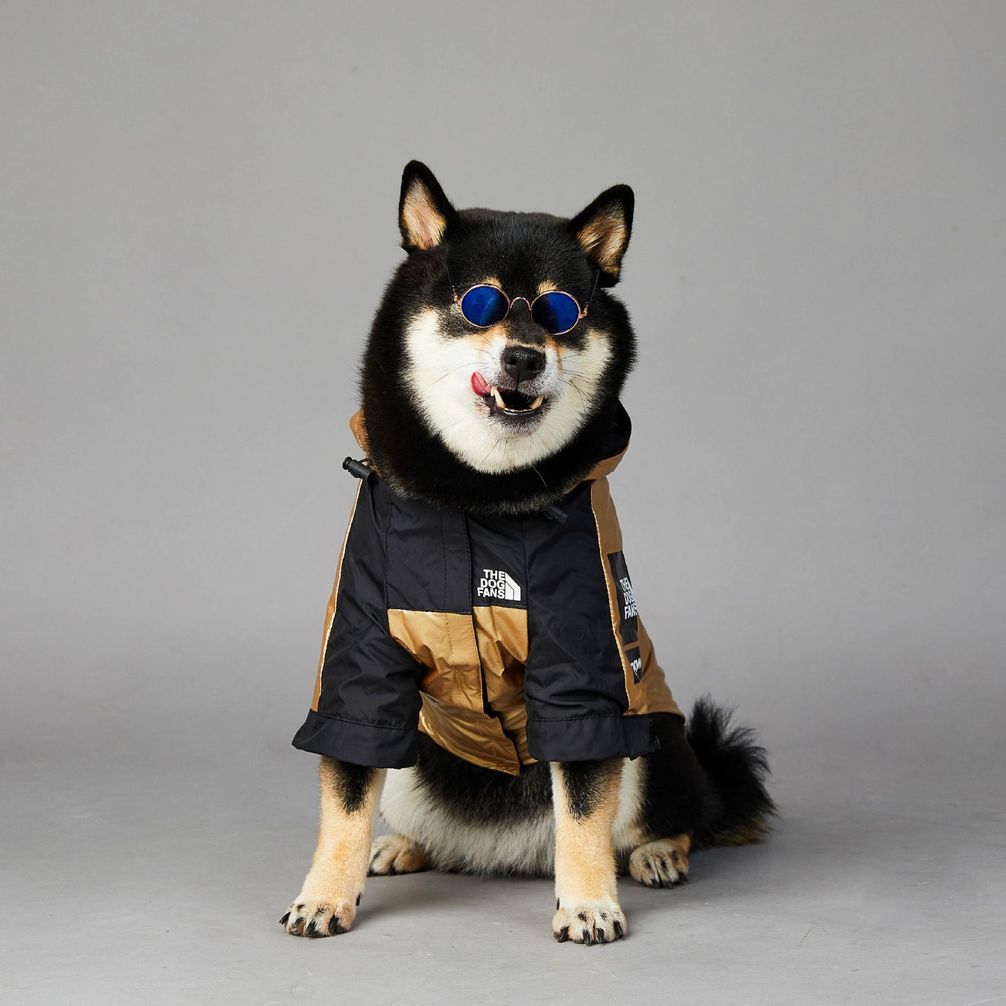 Pet Dog Large Raincoat Jacket