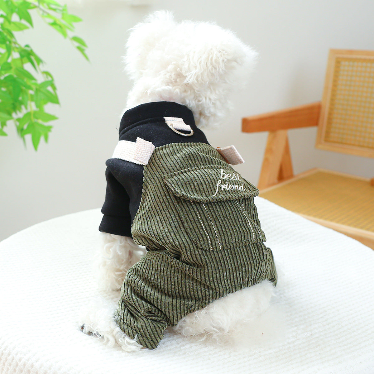 Pet Corduroy Best Friend Ring Dog Suit