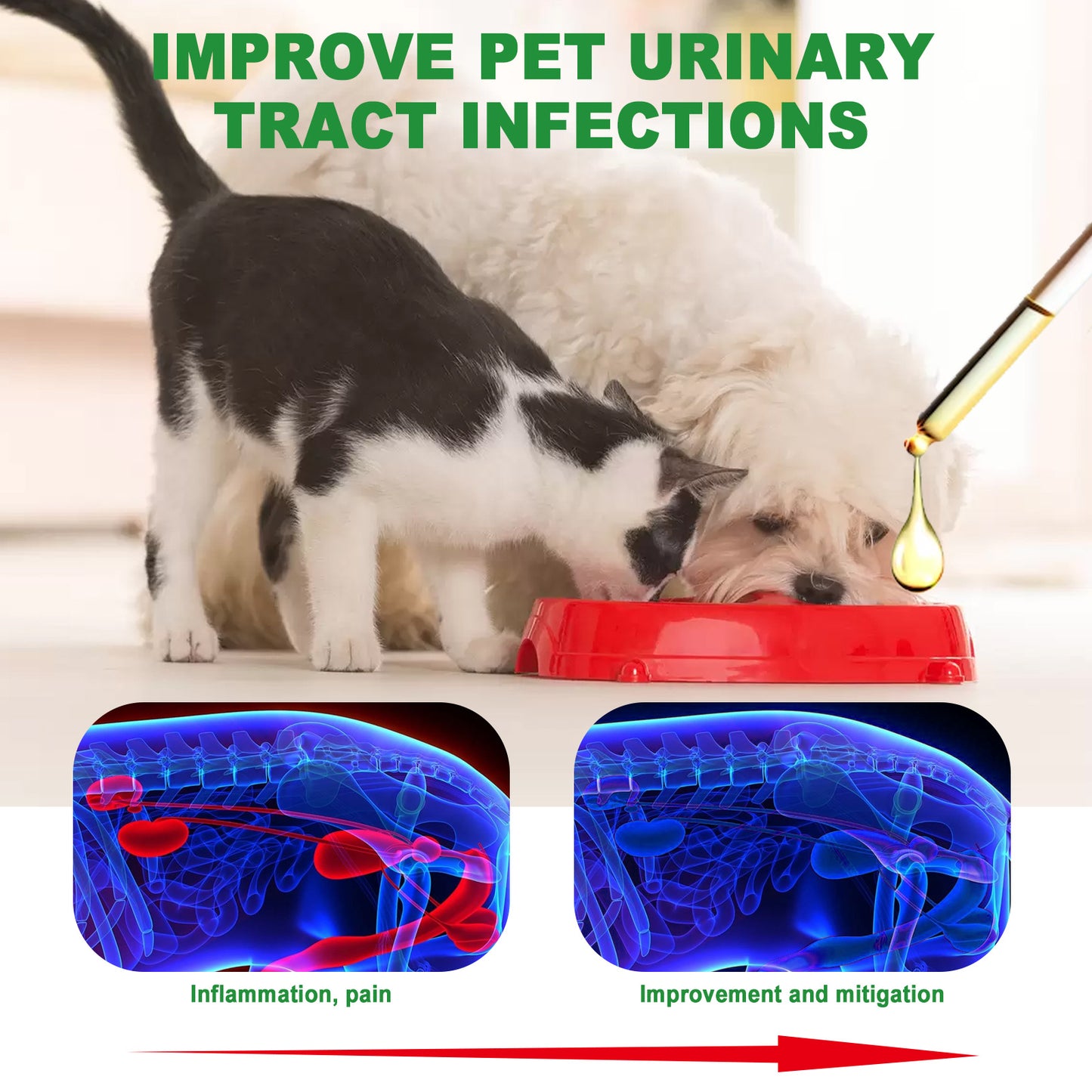 Universal Pet Urinary Tract Pain Reliever