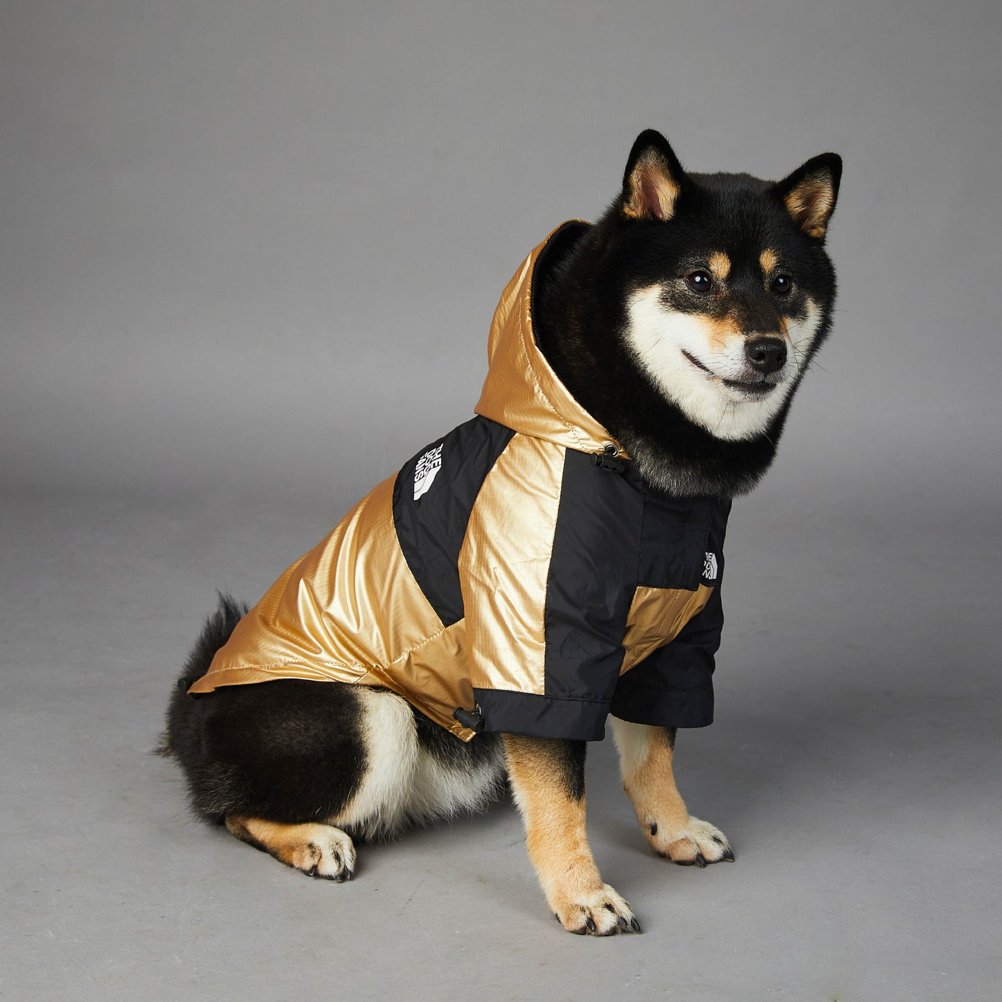 Pet Dog Large Raincoat Jacket