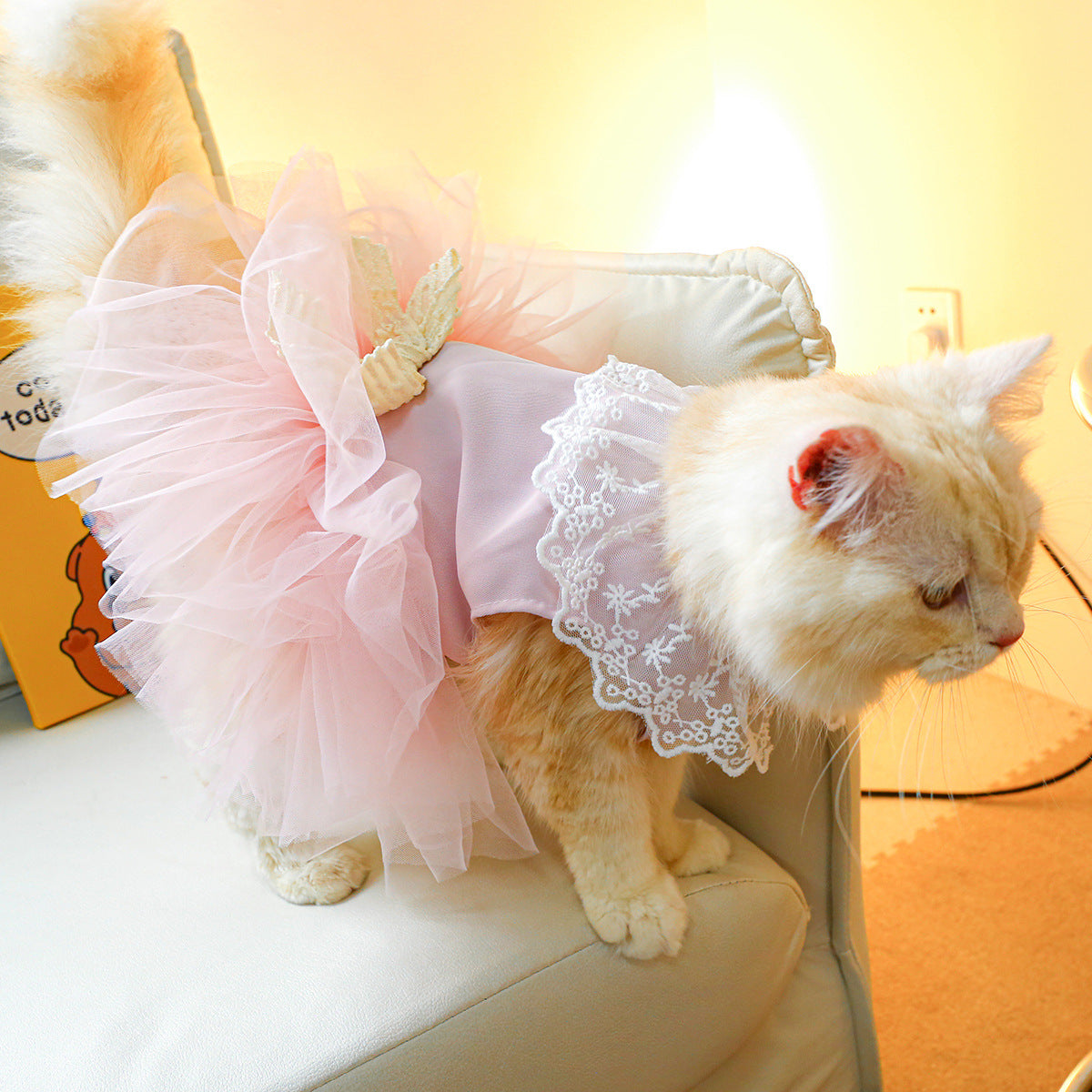 Pet Cat Lace Clothing Suit