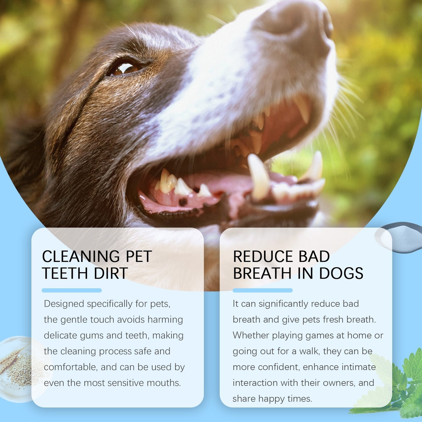 Pet Soft Breath Teeth Cleaning Pen