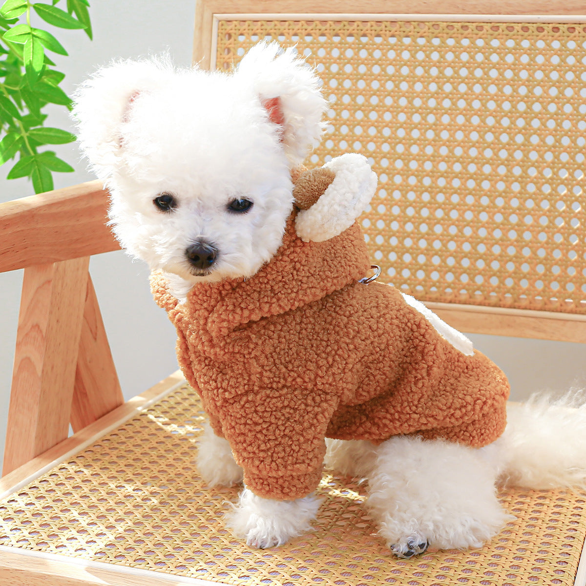 Pet Comfortable Lambswool Round Bear Hoodie