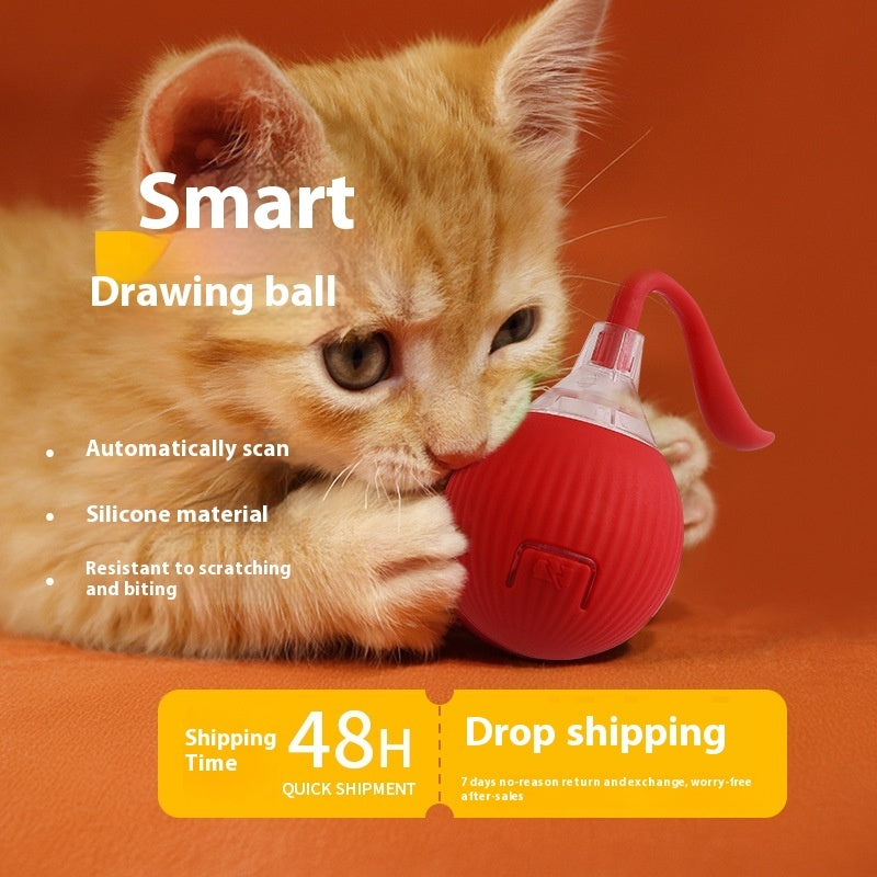 Interactive Cat Super Drive Cat Rolling Ball