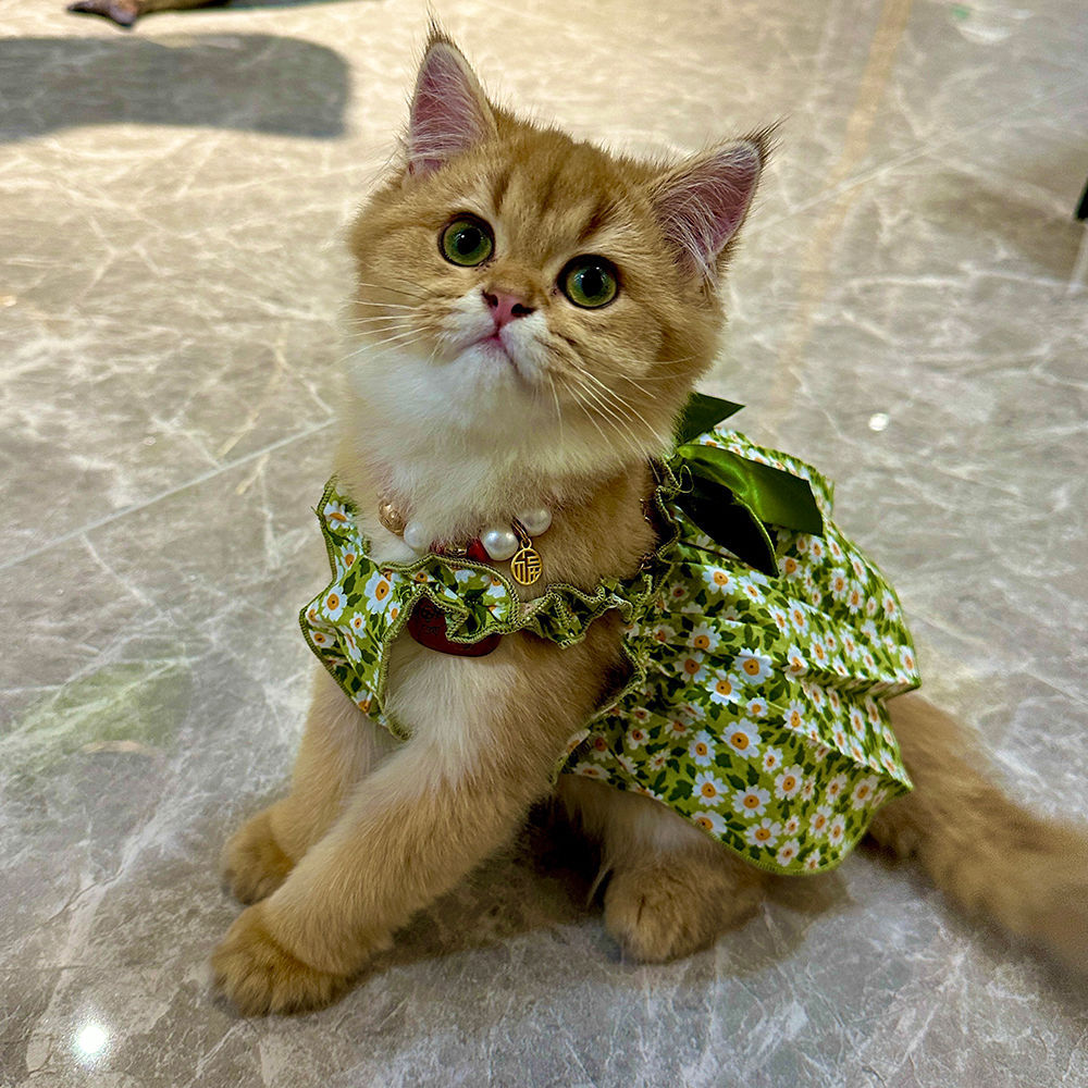 Pet Fashion Spring Floral Mini Frock