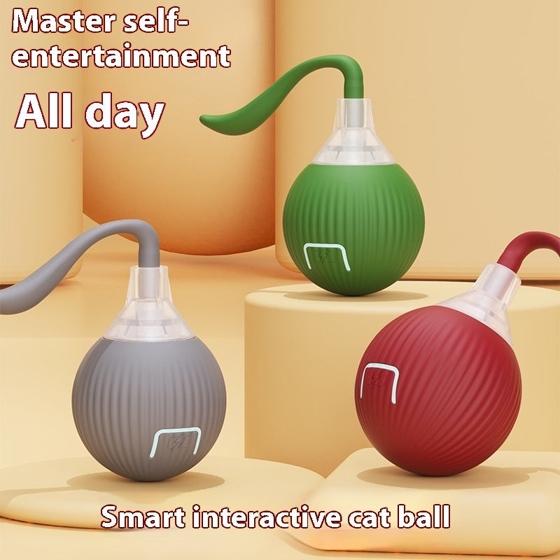 Interactive Cat Super Drive Cat Rolling Ball