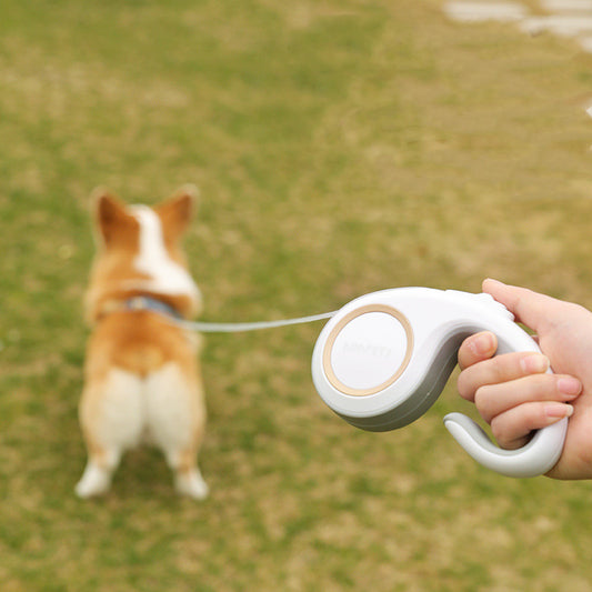 Outdoor Pet Dog Automatic Retractable Leash