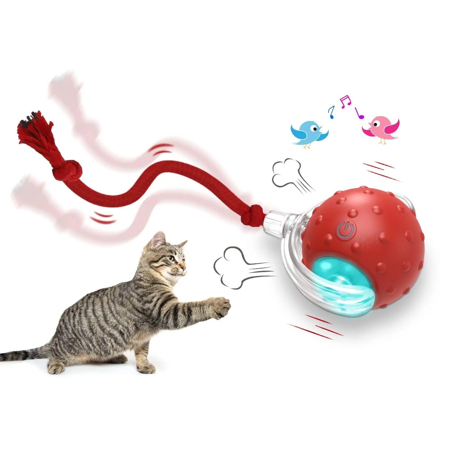 Interactive Cat Super Drive Cat Rolling Ball