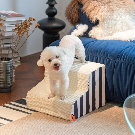Pet Dog Slopes Bed Stairs